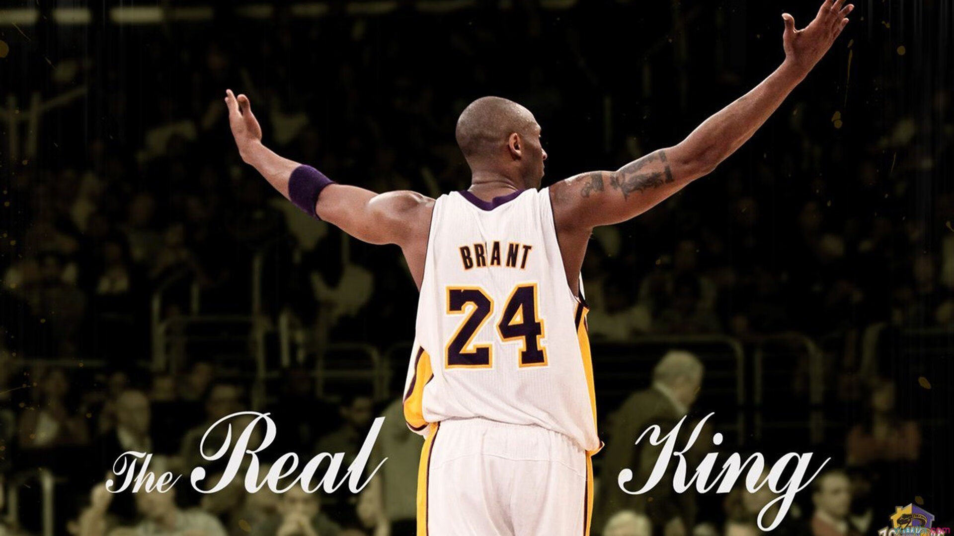 开云体育ios下载-职业球员心态调整难点在哪里，球员的状态